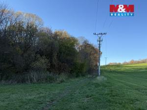 Prodej lesa, Velká Polom, 1901 m2