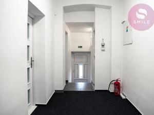 Pronájem obchodního prostoru, Ostrava, Hladnovská, 250 m2