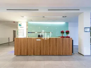 Pronájem kanceláře, Ostrava, Hornopolní, 380 m2