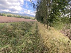 Prodej pozemku, Lánov - Horní Lánov, 4009 m2