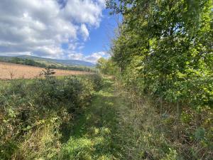 Prodej pozemku, Lánov - Horní Lánov, 4009 m2