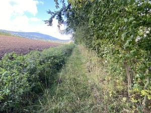 Prodej pozemku, Lánov - Horní Lánov, 4009 m2