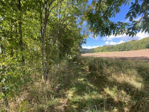 Prodej pozemku, Lánov - Horní Lánov, 4009 m2