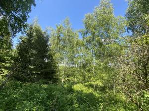 Prodej lesa, Kropáčova Vrutice - Sušno, 15167 m2