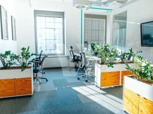 Pronájem kanceláře, Praha - Holešovice, Jankovcova, 337 m2