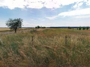 Prodej pole, Maršov, 31902 m2