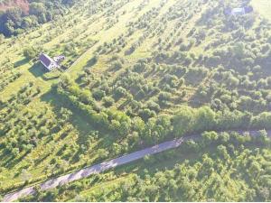 Prodej sadu/vinice, Troskovice, 8502 m2