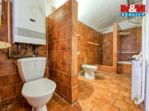 Prodej chalupy, Zemětice, 91 m2