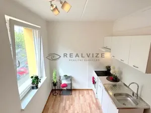 Pronájem bytu 1+1, České Budějovice, J. Bendy, 31 m2