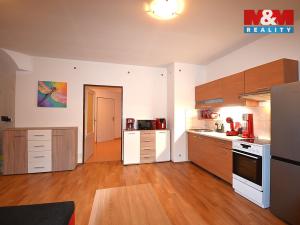 Pronájem bytu 1+kk, Vlčice, 50 m2