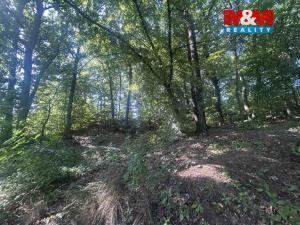 Prodej lesa, Vysoká Pec - Drmaly, 4812 m2