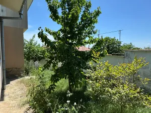 Prodej rodinného domu, Kosharitsa, Bulharsko, 163 m2