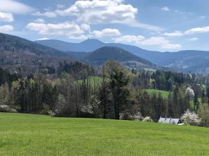 Prodej zemědělské usedlosti, Frýdlant nad Ostravicí, 260 m2