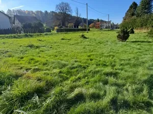 Prodej pozemku pro bydlení, Teplice nad Metují, 1014 m2
