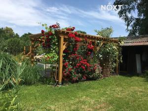 Prodej zahrady, České Budějovice, 893 m2