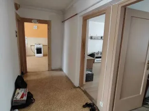 Prodej bytu 3+1, Ostrov, Seifertova, 60 m2