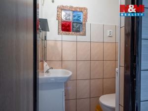 Prodej zemědělské usedlosti, Dobev - Malé Nepodřice, 444 m2