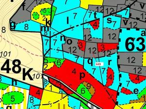 Dražba lesa, Kuřimany, 1722 m2