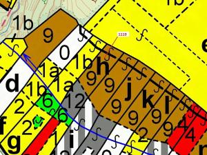 Dražba lesa, Náměšť nad Oslavou, 1976 m2