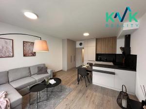 Pronájem bytu 1+kk, Ostrov, Myslbekova, 33 m2