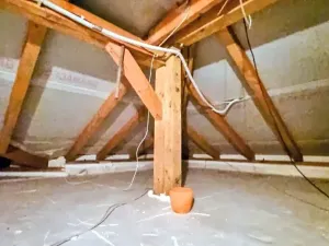 Prodej rodinného domu, Stařeč, 140 m2