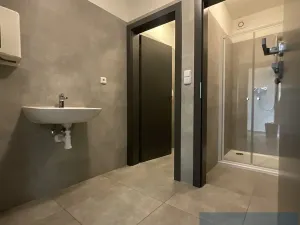 Pronájem kanceláře, Brno, Úlehlova, 110 m2