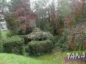 Prodej pozemku pro bydlení, Mladějov, 382 m2