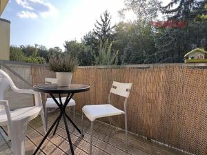 Pronájem bytu 1+kk, Brno, Rakovecká, 22 m2