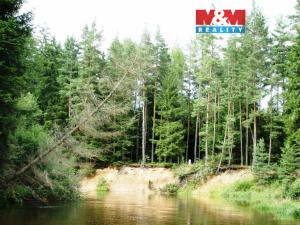 Prodej rybníku, Dvory nad Lužnicí, 8649 m2