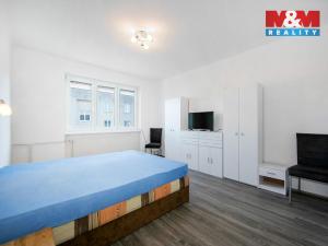 Pronájem bytu 3+kk, Osvračín, 78 m2