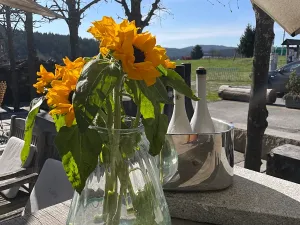 Prodej rodinného domu, Kvilda, 408 m2