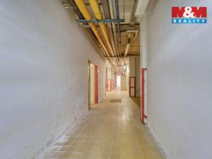 Pronájem skladu, Plzeň, Sousedská, 47 m2