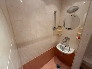 Pronájem bytu 1+kk, Brno, Halasovo náměstí, 21 m2