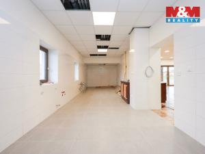 Prodej obchodního prostoru, Zvole, 1860 m2