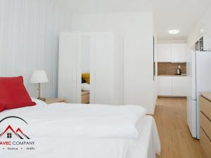 Pronájem bytu 1+kk, Ostrava, Cihelní, 17 m2