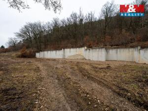 Prodej pozemku pro bydlení, Svinošice, 3250 m2