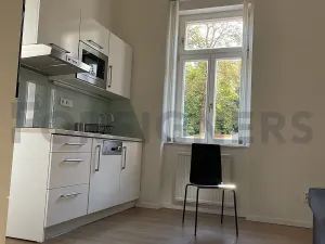 Pronájem bytu 2+kk, Praha - Žižkov, Ježkova, 37 m2