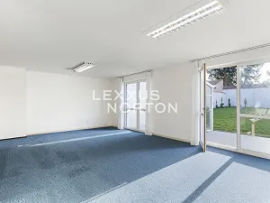 Prodej rodinného domu, Roudnice nad Labem, Dr. Slavíka, 300 m2