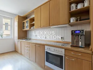 Prodej rodinného domu, Roudnice nad Labem, Dr. Slavíka, 300 m2