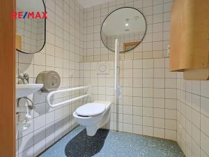 Pronájem obchodního prostoru, Plzeň, Americká, 210 m2