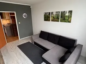 Prodej bytu 2+1, Praha - Kobylisy, Frýdlantská, 45 m2