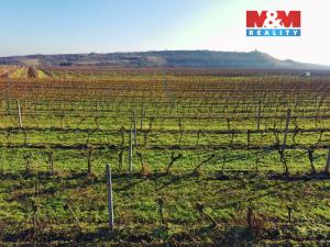 Prodej pole, Velké Bílovice, 7286 m2