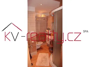 Pronájem bytu 1+1, Karlovy Vary, Sibiřská, 46 m2