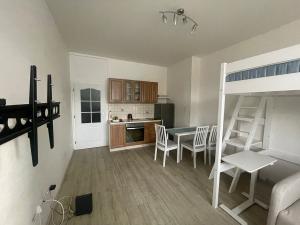 Pronájem bytu 1+kk, Praha - Žižkov, Jana Želivského, 27 m2