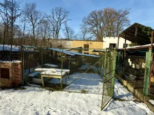 Pronájem bytu 3+kk, Kolešovice, 72 m2