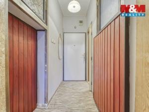 Pronájem bytu 1+kk, Plzeň - Východní Předměstí, Šafaříkovy sady, 23 m2