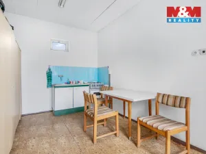 Pronájem obchodního prostoru, Mělník, Hleďsebská, 2357 m2