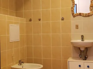 Prodej bytu 2+kk, Liberec, Šimáčkova, 78 m2