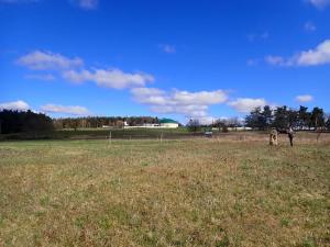 Prodej chaty, Velká Chmelištná, 39 m2