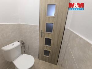 Pronájem bytu 1+1, Ústí nad Labem - Ústí nad Labem-centrum, Bělehradská, 31 m2